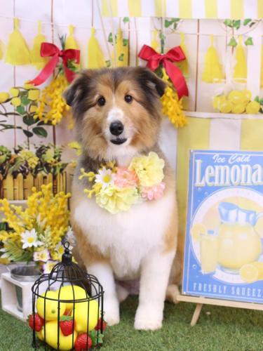 20240407リクくん